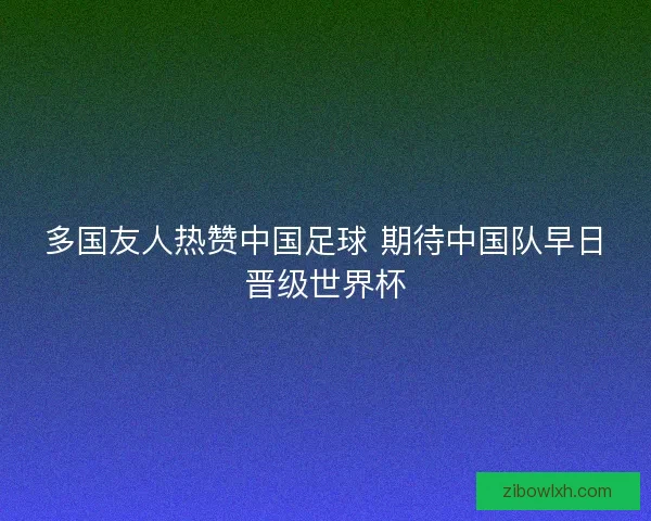 多国友人热赞中国足球 期待中国队早日晋级世界杯