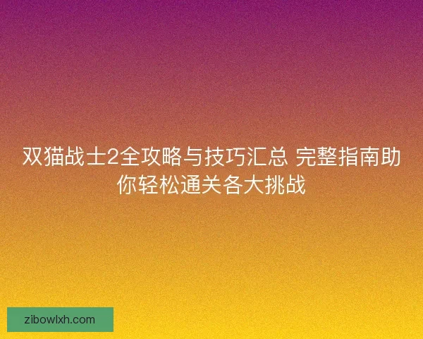 双猫战士2全攻略与技巧汇总 完整指南助你轻松通关各大挑战