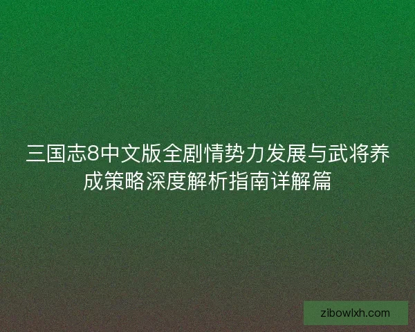 三国志8中文版全剧情势力发展与武将养成策略深度解析指南详解篇